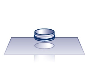 Anstauring Anstauring